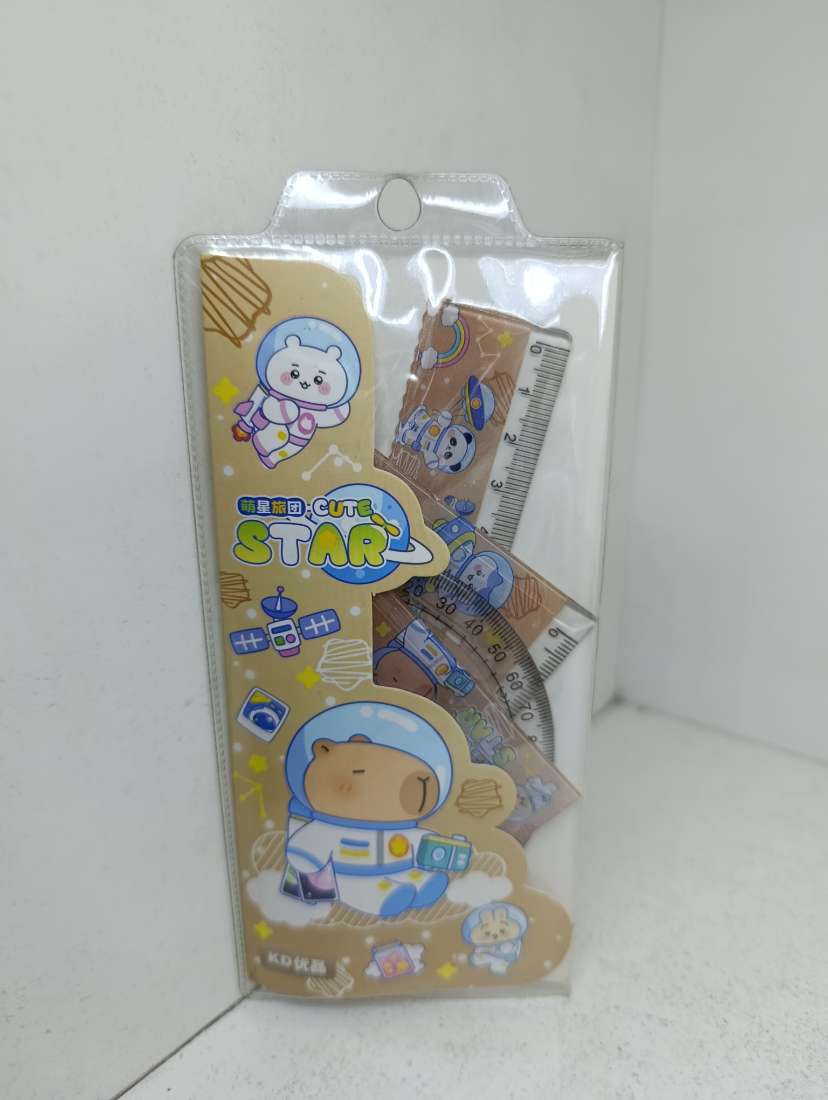 MINI ESTUCHE GEOMETRÍCO CAPIBARA