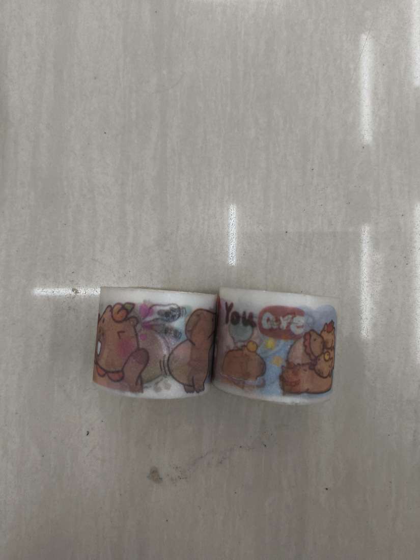 CINTA ADHESIVA CAPIBARA MEDIANO