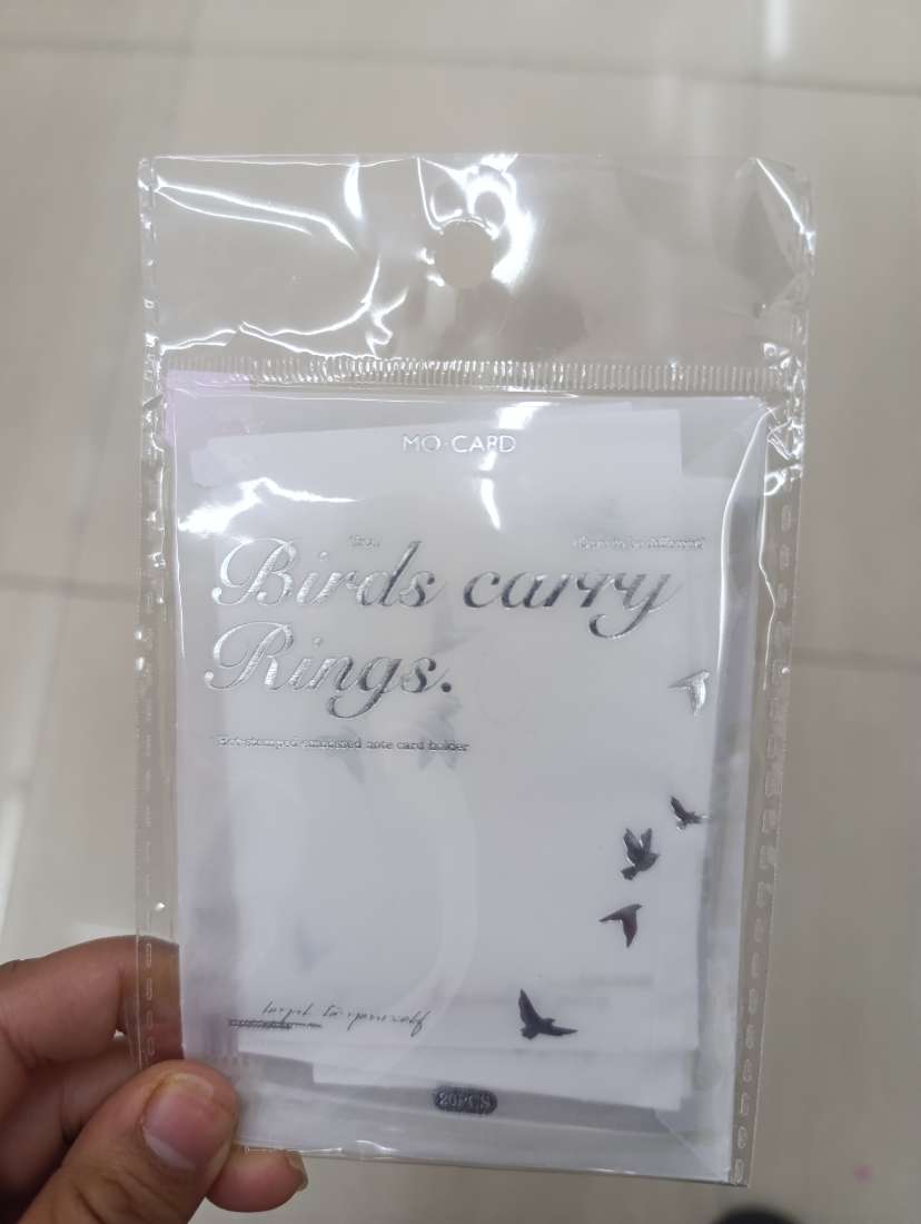SET DE NOTAS BIRDS CARRY RINGS